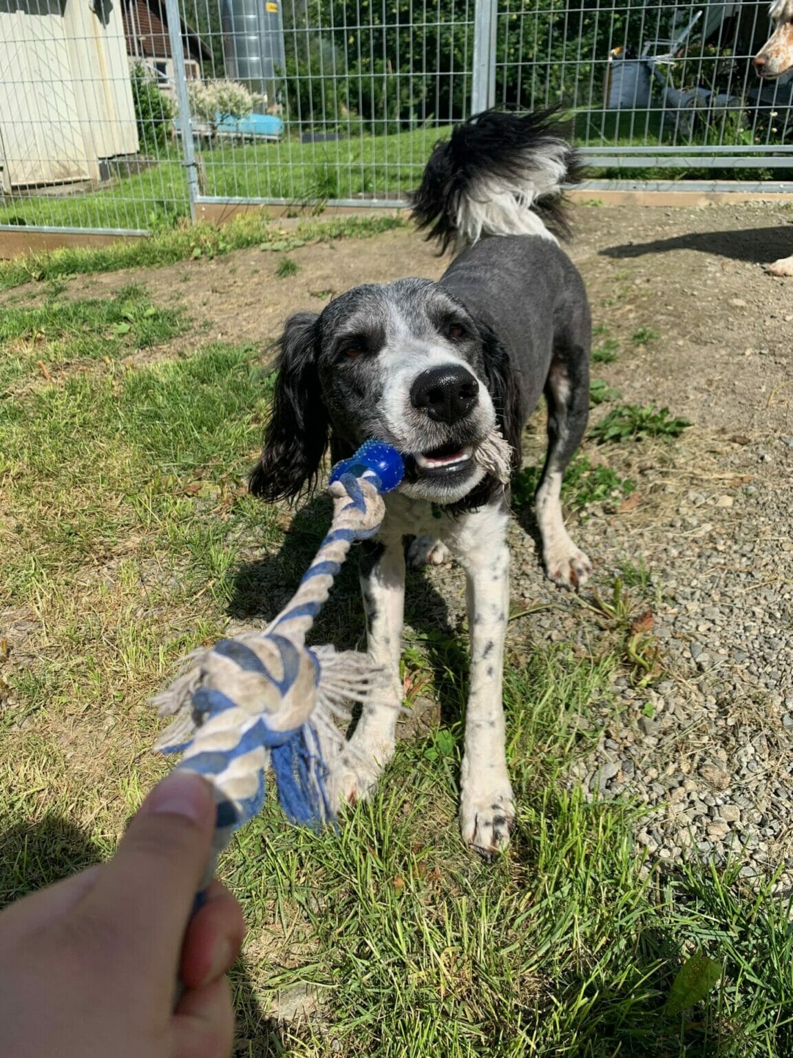 Grunnkurs – Voksen (kommer)